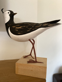 Lapwing